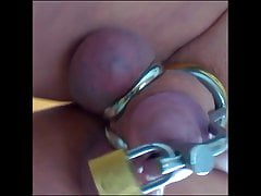 new chastity