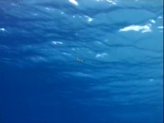 Hottest Asian homo guys in Crazy JAV scene