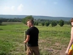 Funny Electric Fence
