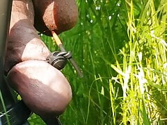 Estim cumshot