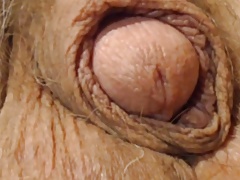 Old cock closeup