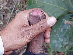 Masturbate in jungal