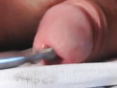 sounding and humping