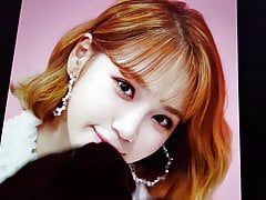 izone chaewon cum tribute