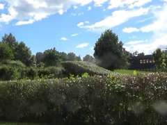 Norwegian not daddy struggling with the boner - july 2016 2