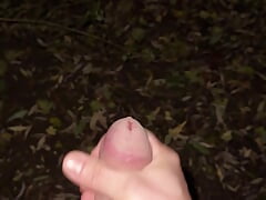 Outdoor Cumshot