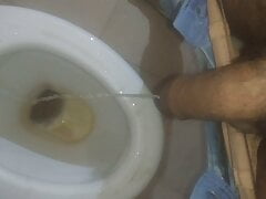 Pissing In Toilet