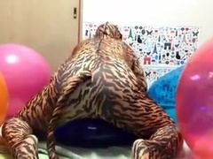 cat humping on balloon