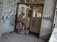 fresse halten, maul auf du sau