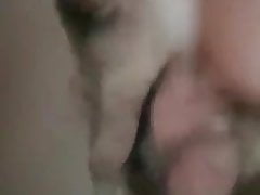 fake pussy dpp