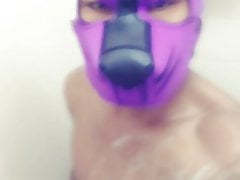 Clean puppy time