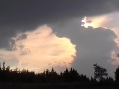 Spring Makes Us All Wild Part #two - Totally remastered in HD