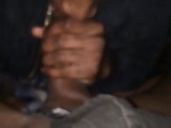 Car swallow that tranny