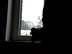 walenie konia gdansk
