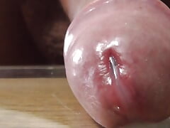 cock hole cum