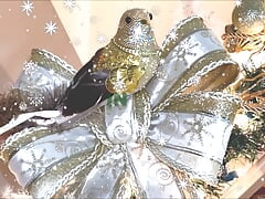 THE 10 HOLIDAY VIBES PART 1