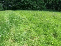 Bone show self delectation public popshot with spycam seeing