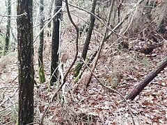 Timmyboy I went for a run in the woods and I got horny