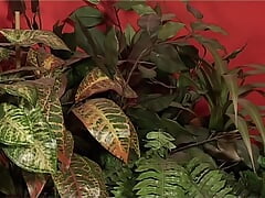 Porn Workroom Part #4 - Fully remastered in HD
