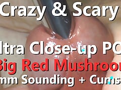 Crazy & Scary POV Extreme Close-up Big Red Mushroom 13mm Sounding w Cumshot 4K