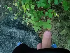 Outdoor Piss