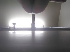 Afternoon fun