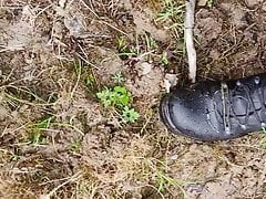 Mud runs through puddles in the forest