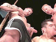 Masturbation, yankee, teddy