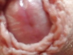 Just the tip very close up
