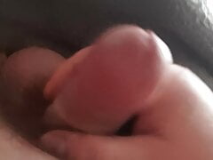 The wanker 2