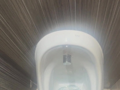 Public rest room, I attempted to entice the studs with my enormous rod