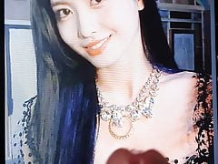 Twice - Momo - Cum Tribute