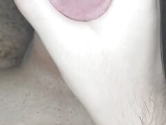 Moroccan penis Small