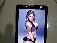 Nikki Bella Cum Tribute #1