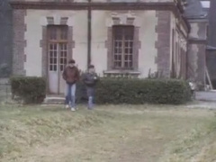 Les Minets Sauvages II