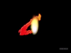 Bear Boned With Riley Porter, Andy Dill And Dillon Press