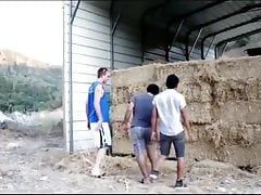 Boys giving blowjobs outdoors