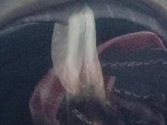 Pussy toy
