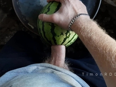 Arrogant masculine TimonRDD rock hard screws a watermelon with a gigantic fur covered beef whistle