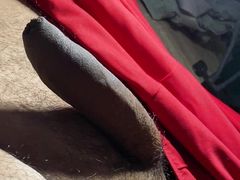 Long shaved dick cums for you