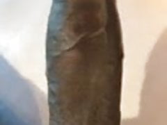Cock Vid