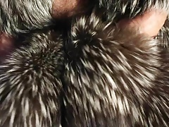 Silver fox fur stroke