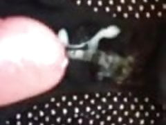 Not daughters panties