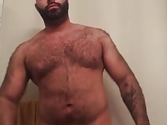 Hung hairy bear