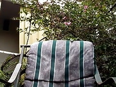 I Interview for a Gardener's Apprentice