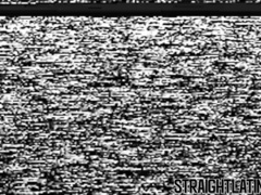 Straight Latino cutie sucks dick before bareback action