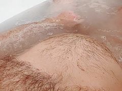 Bear in tub