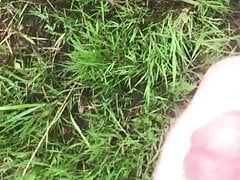 Non cum wank