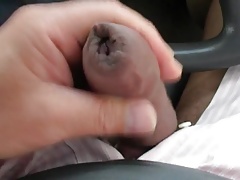 cheese dick