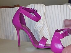 fuchsia treat